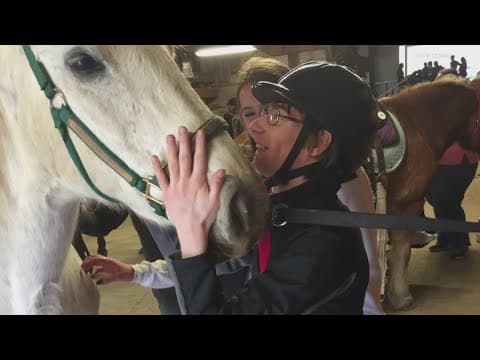 Camby barn offers equine therapy | Inspiring Indiana