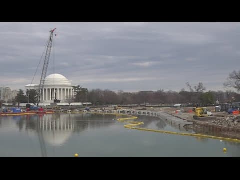 Tidal Basin construction efforts will combat impact of climate change on cherry blossoms