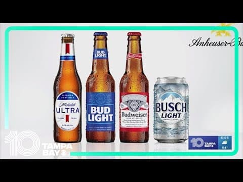 DeSantis looks into action against beer company's LGBTQ+ marketing