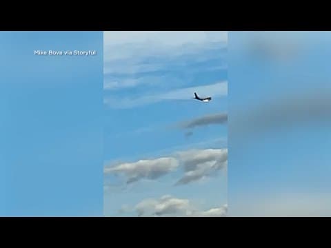 FedEx plane turns back after engine catches fire from bird strike