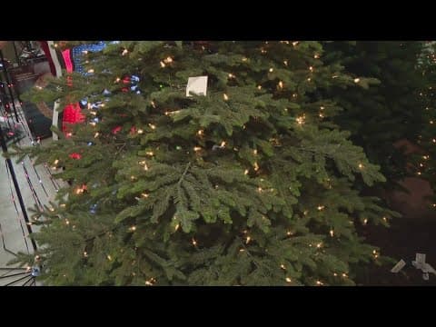 Pat Sullivan's tips for cleanup after the holidays