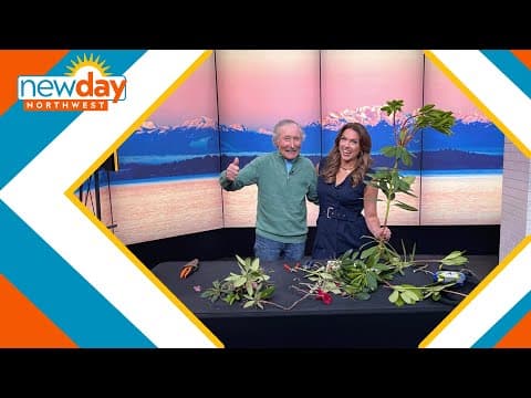 It’s time to prune those Rhodies! - New Day NW