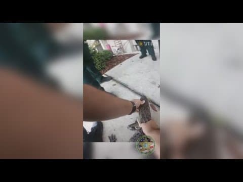 Deputies remove baby gator from UF apartment complex