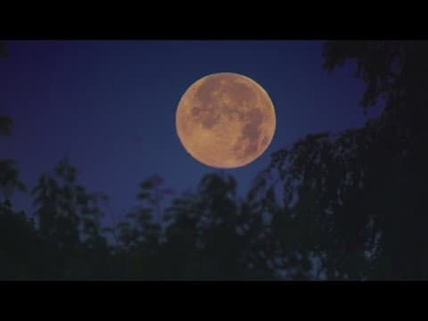 Rare Super Blue Moon will be visible Monday