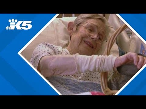 Finding end-of-life comfort on a Whatcom County farm