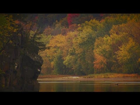 Fall colors start to pop across Minnesota
