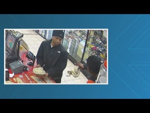 4 men rob Tennessee gas station with snakes, sheriff says