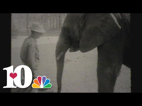 The history of elephants in Knoxville
