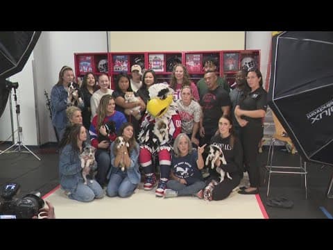 Capitals 2025 Canine Calendar underway