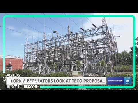 Florida regulators reviewing TECO proposal for rate hikes in 2025