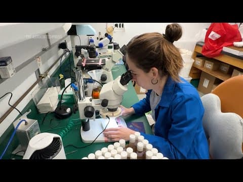 University research in turmoil after Trump administration declares diversity policies 'illegal'