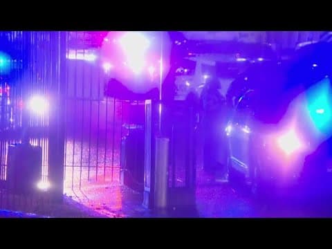 New details on the 5-year-old shot by 3-year-old brother paint picture