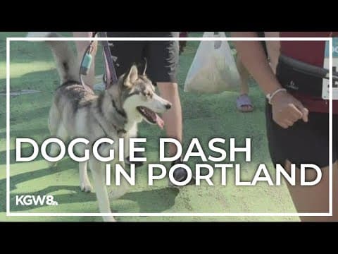 Annual Doggie Dash hits Portland's Waterfront Park