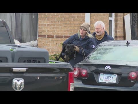 7 people charged in dog fighting operation