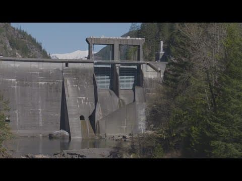 Skagit County farmers are fed up, fighting Seattle City Light’s Skagit River dam programs