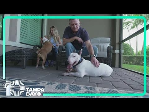 'Trooper,' the dog left tied to a fence during Milton gets adopted