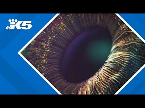 How vision loss and impairment could signal dementia: HealthLink