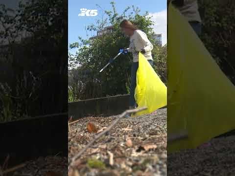 New Washington policies ban Styrofoam, packaging with PFAS chemicals