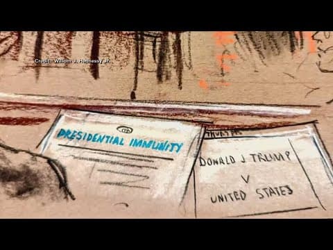 Supreme Court hears Trump immunity case