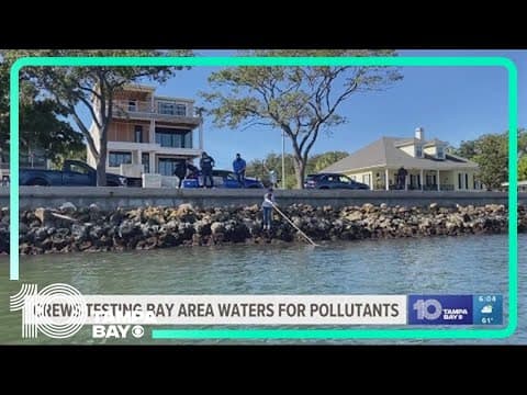 How 'nutrient fingerprinting' helps scientists understand what's polluting Tampa Bay