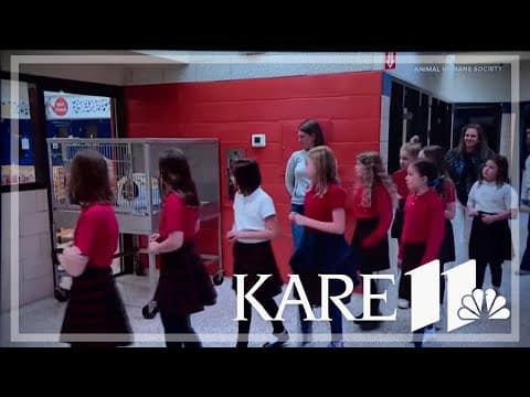 Breck 4th graders raise $800 for AHS, animals in need