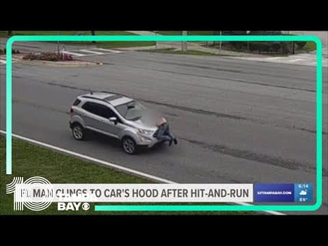 Florida woman leaves hit-and-run scene with other driver clinging to her car's hood for miles