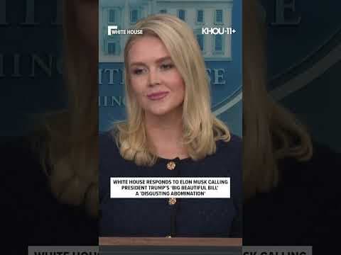 White House response after Elon Musk called the 'big beautiful bill' a 'disgusting abomination'