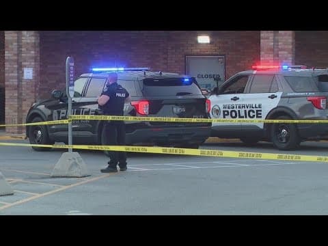 Police chief: Pregnant woman shot dead in Kroger parking lot was theft suspect, drove car toward off