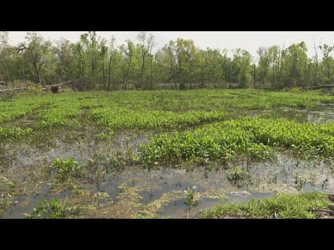 Pungent smell overwhelms New Orleans East residents