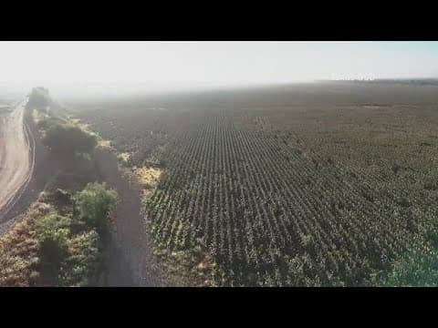 Portions of land in Texas to be used for border security operations