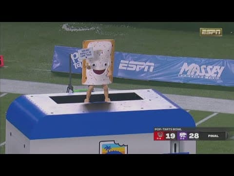 The Pop-Tart mascots are back! in Chicago O'Hare Airport