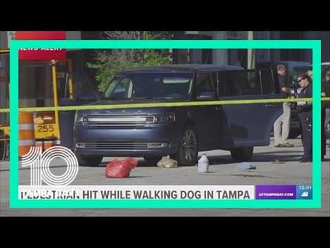 Police: Pedestrian walking dog in critical condition after being hit by driver in Tampa