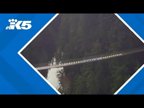 Vancouver B.C. welcomes Taylor Swift with giant friendship bracelet on Capilano Suspension Bridge