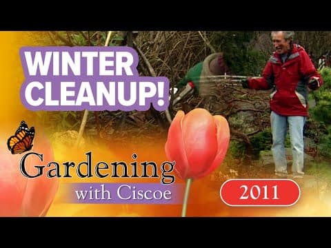 Why winter garden cleanup is so important | Gardening with Ciscoe | Full Episode