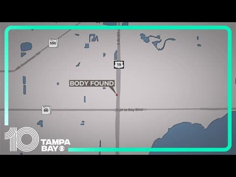 Man found dead off of road in Pinellas County, police investigating