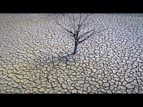 2025 had hottest January on record