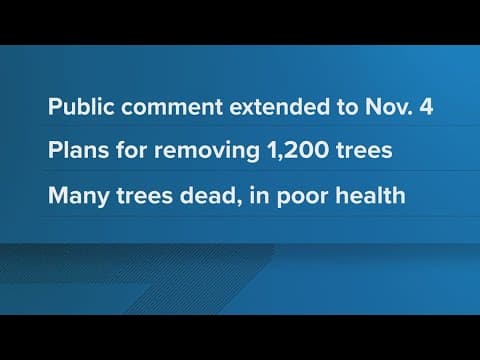 Park Service considering cutting down 1,200 Rock Creek Park trees