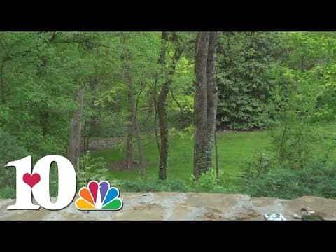 Here's what you can expect at featured gardens this weekend