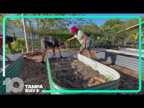 Tampa Heights' Community Garden is growing more than just veggies