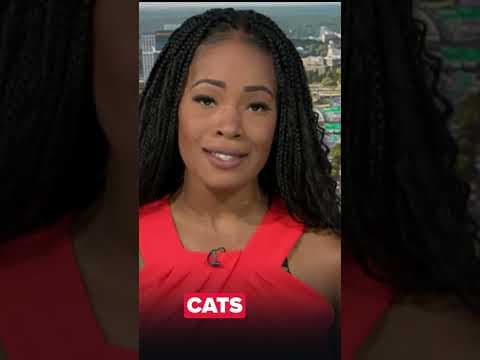 8 killed including 2-year-old child in fiery Georgia crash; truck driver charged