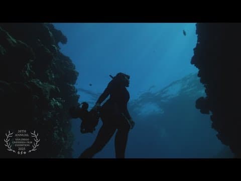 San Diego Undersea Film Exhibition returns for 26th year