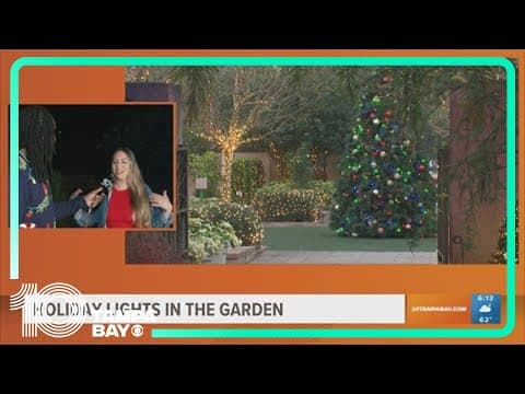 Holiday Lights in the Garden