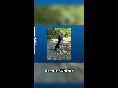 K-9 helps locate 2 missing 11-year-olds in Hoosier National Forest