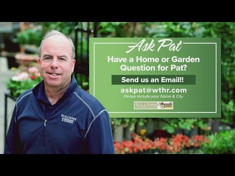 Answering your most common gardening questions | Pat Sullivan