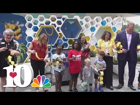 Muse Knoxville opens new bee exhibit
