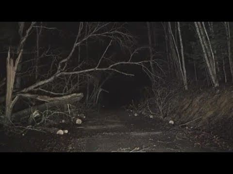 Morgan County sees severe damage after tornado touchdown