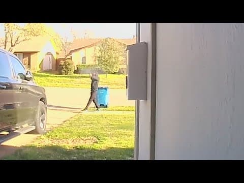 Police searching for man caught on camera shooting at home in Lewisville