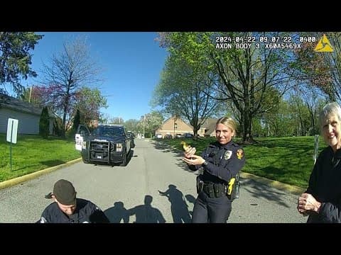 Westerville police rescue ducklings stuck in storm drain