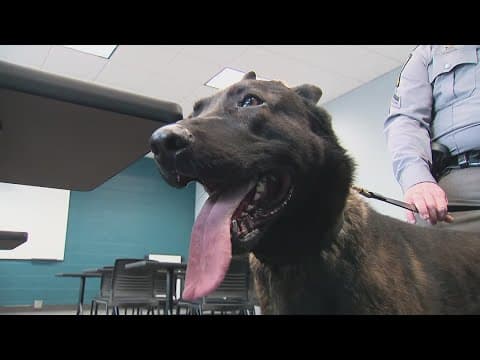 Ohio State Highway Patrol welcomes new narcotics K-9