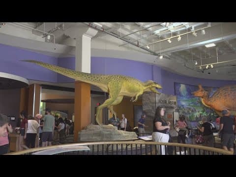 San Diego Natural History Museum turns 150 with a lively celebration